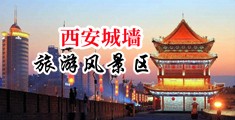 进去啊啊操受不了视频中国陕西-西安城墙旅游风景区